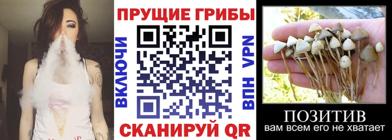 Псилоцибиновые грибы Magic Shrooms  Лабинск 